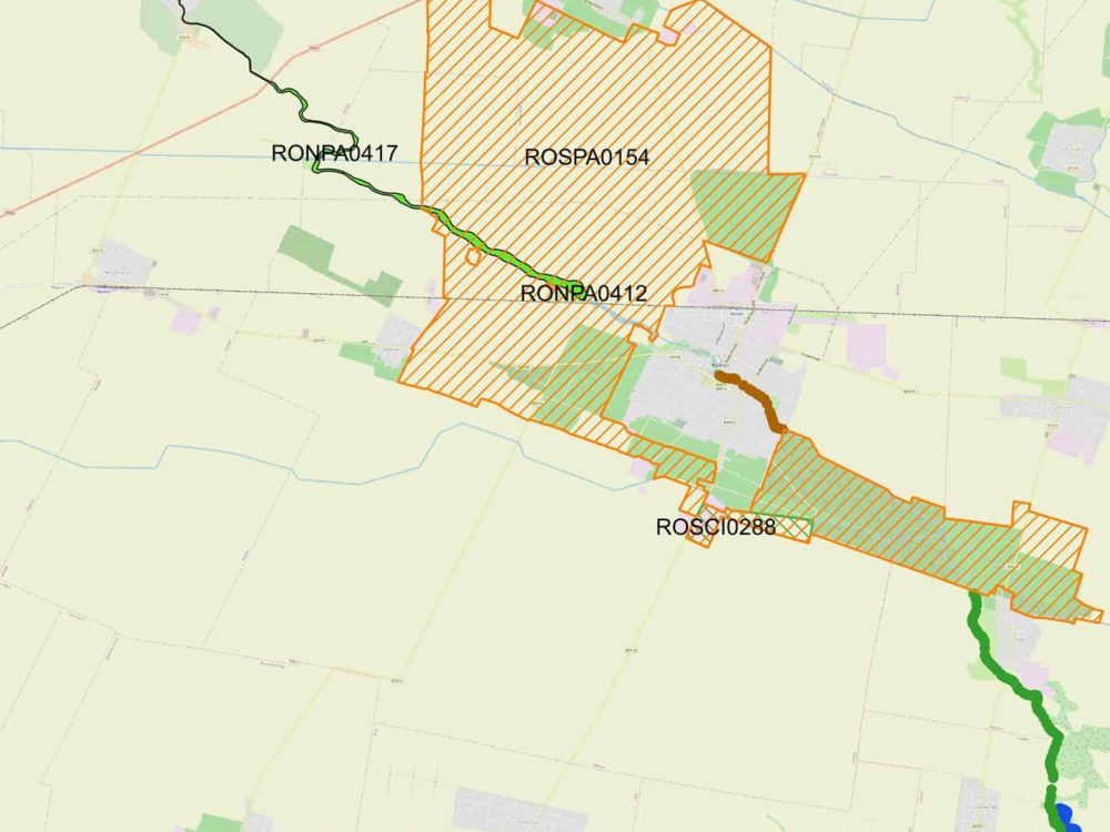 REABILITARE ECOLOGICĂ A RÂULUI BALASAN